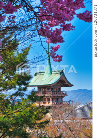 Spring in Kyoto: Daiun-in Temple, Gion-kaku (Higashiyama-ku, Kyoto City, Kyoto Prefecture) Spring in Kyoto: Daiun-in Temple, Gion-kaku (Higashiyama-ku, Kyoto City, Kyoto Prefecture) 120731371