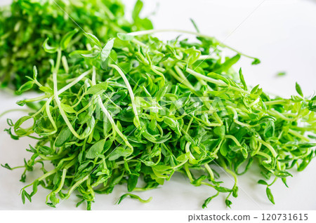 Soybean Soybean 120731615