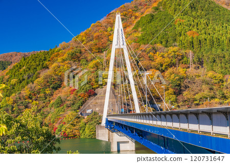 [神奈川縣]永泰橋附近的紅葉、丹澤湖 120731647