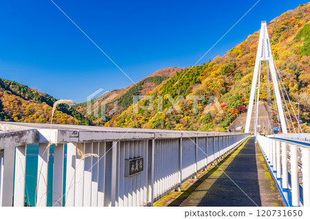 [神奈川縣]永泰橋附近的紅葉、丹澤湖 120731650