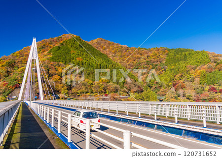 [神奈川縣]永泰橋附近的紅葉、丹澤湖 120731652