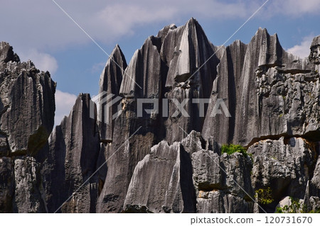 世界遺產雲南石林風景區 120731670