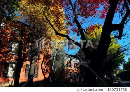 前景是秋葉的東京藝術大學紅磚大樓 120731788