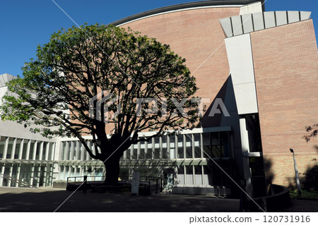 東京藝術大學相樂堂外觀 120731916