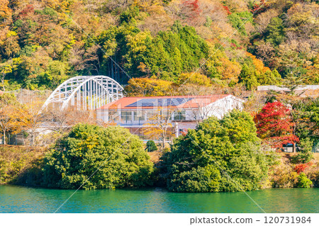 [Kanagawa Prefecture] Autumn leaves along the shores of Lake Tanzawa 120731984