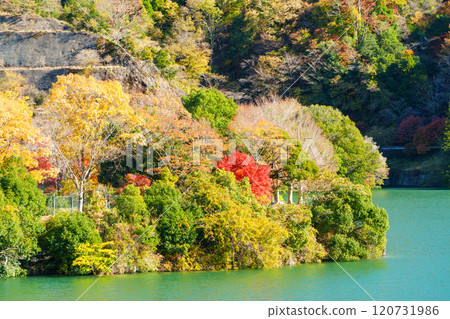 [Kanagawa Prefecture] Autumn leaves along the shores of Lake Tanzawa 120731986