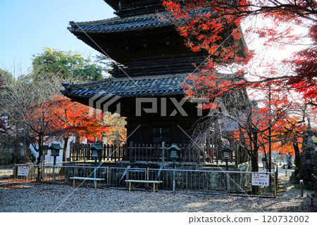 Blue skies and beautiful autumn leaves at Yagotoyama Koshoji Temple 120732002