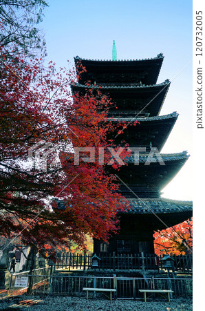 Blue skies and beautiful autumn leaves at Yagotoyama Koshoji Temple Blue skies and beautiful autumn leaves at Yagotoyama Koshoji Temple 120732005