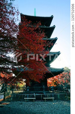 Blue skies and beautiful autumn leaves at Yagotoyama Koshoji Temple 120732006