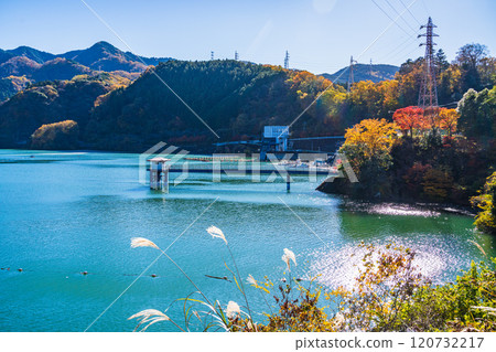 [神奈川縣]丹澤湖美麗的秋葉和三保水壩測水塔 120732217
