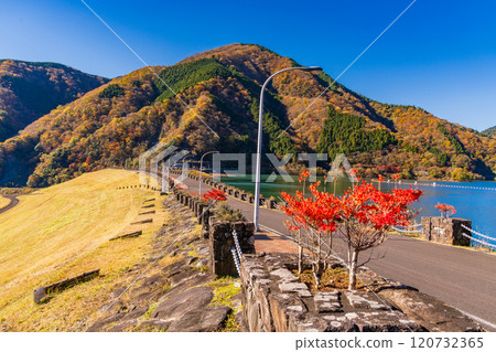 [神奈川縣]丹澤湖與三保水壩堰與美麗的秋葉 120732365