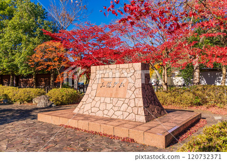 [Kanagawa Prefecture] Beautiful autumn foliage at Lake Tanzawa and Miho Dam 120732371