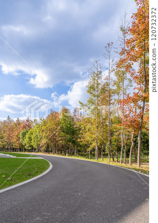 asphalt road near woods asphalt road near woods 120732372