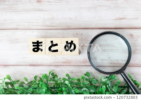 Summary: Letter Blocks White Wood Grain Background and Plants 2 Summary: Letter Blocks White Wood Grain Background and Plants 2 120732803