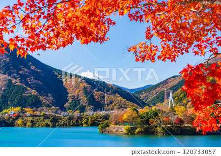 【神奈川縣】丹澤湖，岸邊紅葉如火，背景是富士山 120733057