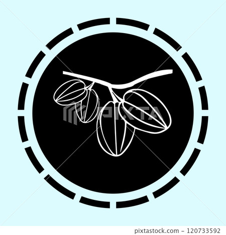 star fruit icon vectors illustration star fruit icon vectors illustration 120733592