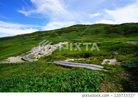 Boardwalk to Foxhole Hut and Sanpo-kyo in the Asahi Mountain Range 120733727