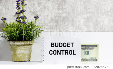 The notebook has the inscription Budget Control, business concept The notebook has the inscription Budget Control, business concept 120733780