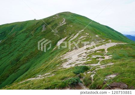 朝日山脈通往伊東山的山路和伊東小屋 120733881