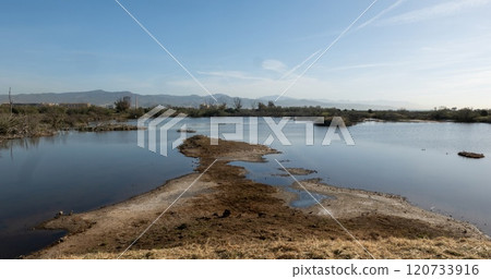 Pond Laguna Grande in nature reserve Guadalhorce near Malaga in Andalusia, Spain. 120733916