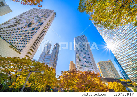 Tokyo cityscape in Japan: A ray of hope...Autumn. View of Tokyo Metropolitan Government Building, Shinjuku Keio Plaza H, Shinjuku Sumitomo Building, etc. = November 22nd Tokyo cityscape in Japan: A ray of hope...Autumn. View of Tokyo Metropolitan Government Building, Shinjuku Keio Plaza H, Shinjuku Sumitomo Building, etc. = November 22nd 120733917