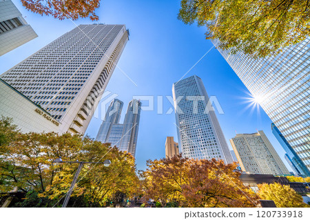 Tokyo cityscape in Japan: A ray of hope...Autumn. View of Tokyo Metropolitan Government Building, Shinjuku Keio Plaza H, Shinjuku Sumitomo Building, etc. = November 22nd 120733918