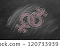 Chalk drawn female gender symbols on blackboard 120733939