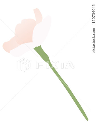 櫻花的矢量插畫 120734043