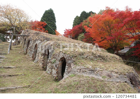 信樂窯遺址 丸又窯 信樂窯遺址 丸又窯 120734481
