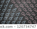Gender Symbols on Chalkboard 120734747