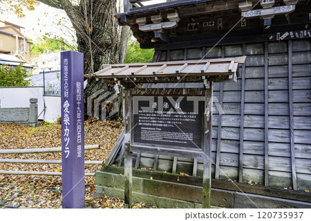 Bessho Onsen Kitamuki Kannon Aizen Katsura Ueda City, Nagano Prefecture 120735937