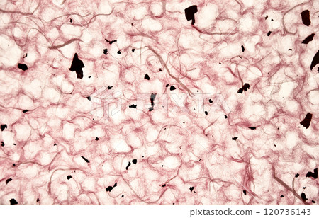 Korean traditional craft paper 120736143