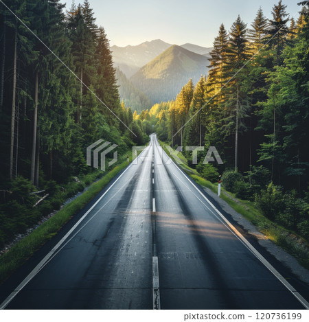 Winding Asphalt Road Through a Lush Green Forest with Mountain Peaks in the Distance 120736199