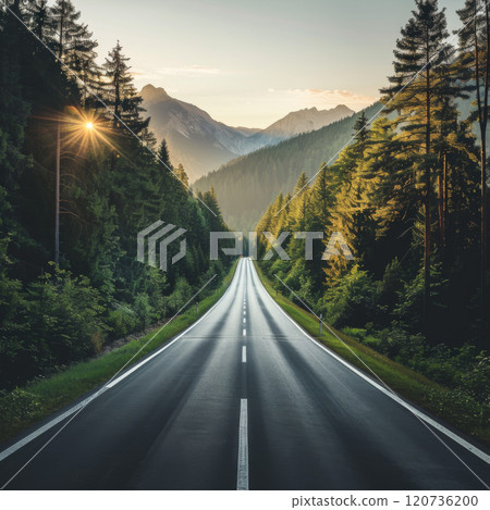 A winding asphalt road through a dense forest with mountain peaks in the background, bathed in golden sunlight 120736200