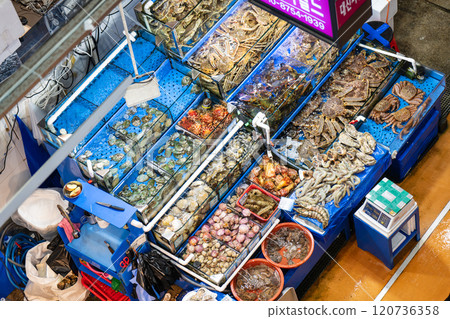 Seoul, South Korea - NOV. 30, 2024 : Locals and tourists at Noryangjin Fisheries Wholesale Market, an extensive farmers fish market in the neighborhood of Noryangjin-dong in Dongjak-gu, Seoul. Seoul, South Korea - NOV. 30, 2024 : Locals and tourists at Noryangjin Fisheries Wholesale Market, an extensive farmers fish market in the neighborhood of Noryangjin-dong in Dongjak-gu, Seoul. 120736358