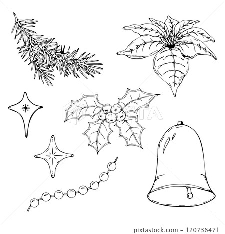 Christmas decoration design elements isolated on white background. Christmas, winter holiday, new year concept. Poinsettia, holly, bell, fir branch, decorative stars. Hand drawn. Vector illustration 120736471