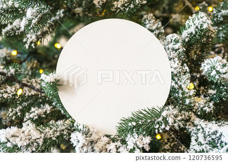 White blank paper circle on snowy Christmas tree branch background. Mockup, template copy space 120736595