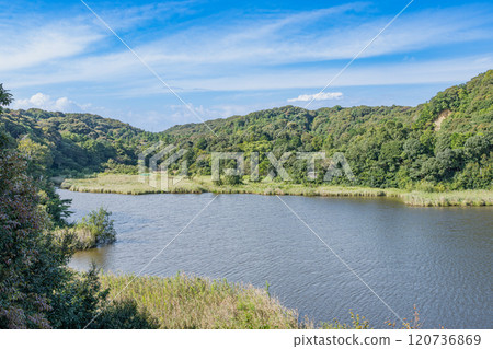 磐田市桶谷濕原風景(靜岡縣) 磐田市桶谷濕原風景(靜岡縣) 120736869