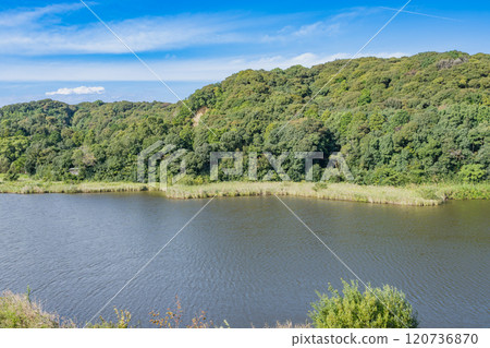 磐田市桶谷濕原風景(靜岡縣) 磐田市桶谷濕原風景(靜岡縣) 120736870