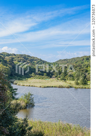 View of Okegaya Marsh in Iwata City (Shizuoka Prefecture) 120736873