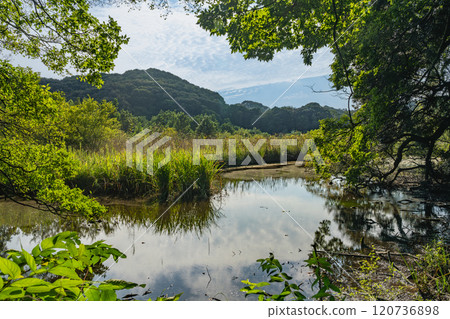 View of Okegaya Marsh in Iwata City (Shizuoka Prefecture) View of Okegaya Marsh in Iwata City (Shizuoka Prefecture) 120736898