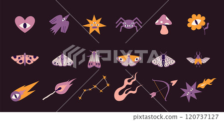 Esoteric concept, Bohemian magic set, withcore aesthetic. Mystical Spiritual Astrology elements and Folk insects. Trendy modern vector illustration, hand drawn, flat design 120737127