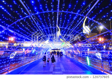 東京都多摩市京王相模原線、小田急多摩線、多摩市單軌電車線多摩中心站前的彩燈 120737605