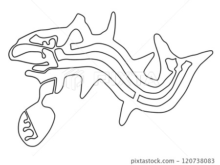 Nazca Lines: Killer Whale Nazca Lines: Killer Whale 120738083