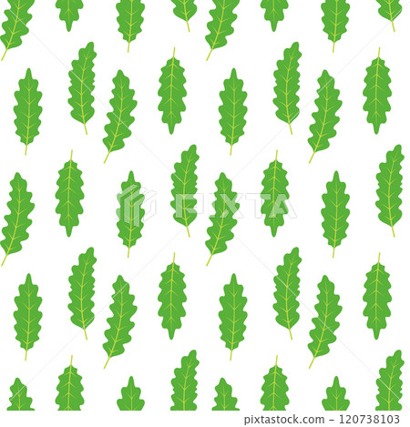 arugula leaves seamless pattern 120738103
