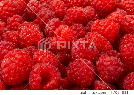 Ripe raspberries. Ripe raspberries. 120738313