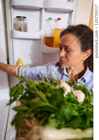 Woman organizing fresh vegetables in a modern kitchen fridge Woman organizing fresh vegetables in a modern kitchen fridge 120739517