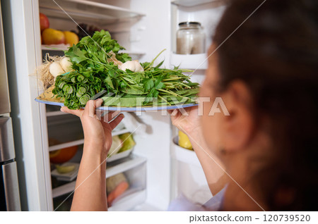 Person placing fresh greens into a refrigerator for storage 120739520