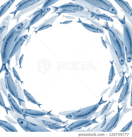 Sardine fish in a square round frame swimming in a shoal stylized watercolor illustration on a transparent background for fish restaurants, websites, posters, fish markets and stores Sardine fish in a square round frame swimming in a shoal stylized watercolor illustration on a transparent background for fish restaurants, websites, posters, fish markets and stores 120739777