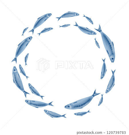 Sardine fish in a round wreath swimming in a shoal stylized watercolor illustration on a transparent background for fish restaurants, websites, posters, fish markets and stores Sardine fish in a round wreath swimming in a shoal stylized watercolor illustration on a transparent background for fish restaurants, websites, posters, fish markets and stores 120739783